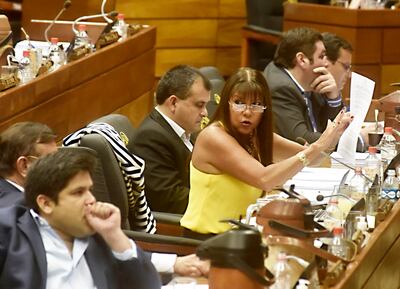 La diputada Celeste Amarilla (PLRA) en la sesión del miércoles pidió a sus colegas no lotear el país en pequeños distritos.