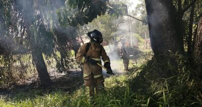 Los incendios forestales ocupan a los bomberos de la Undécima Compañía principalmente en la temporada veraniega.