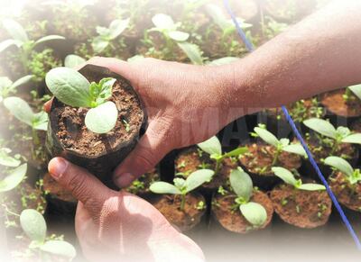 /pf/resources/images/abc-placeholder.png?d=2425