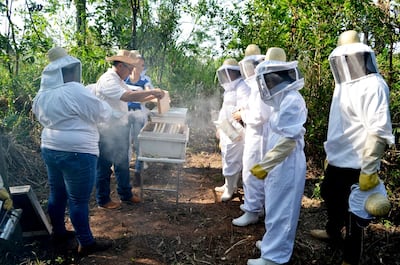 Imagen sin descripción