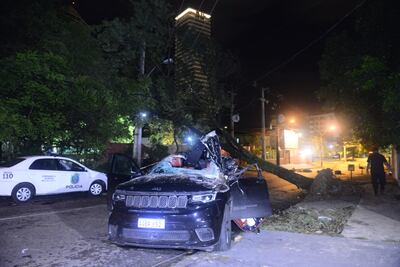 Así quedó la camioneta en el tercer accidente a causa de un árbol caído en plena calle.
