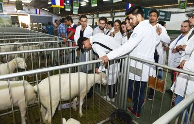 /pf/resources/images/abc-placeholder.png?d=2394