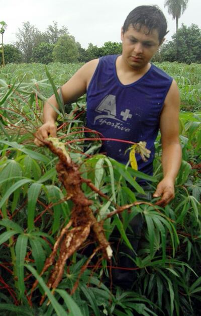 /pf/resources/images/abc-placeholder.png?d=2419