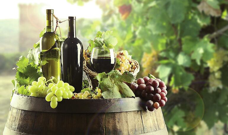 Orgánico, biodinámico o vino tradicional – Gastronomia