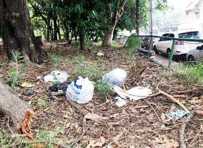 Varias bolsas con basura son constantemente arrojadas en el predio del Parque Carlos A. López, denunciaron los vecinos.