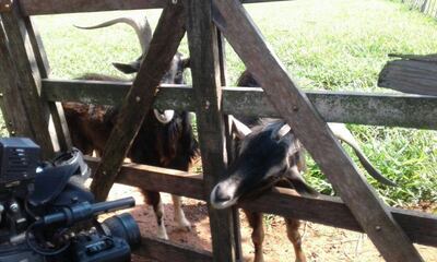 /pf/resources/images/abc-placeholder.png?d=2421