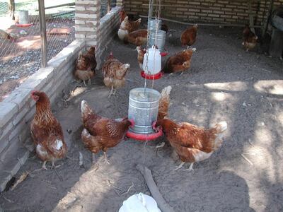 /pf/resources/images/abc-placeholder.png?d=2420