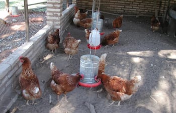 granja-integral-autosuficiente-80517000000-1686597.JPG