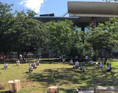 Los integrantes del Fans Club de Luciano Pereyra en Paraguay durante la jornada de plantación, que realizaron en la tarde del sábado.
