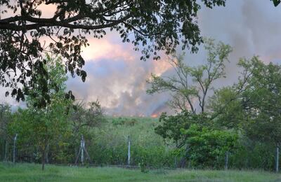 /pf/resources/images/abc-placeholder.png?d=2393