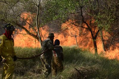 Incendio en el parque Guasu