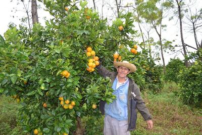 Imagen sin descripción