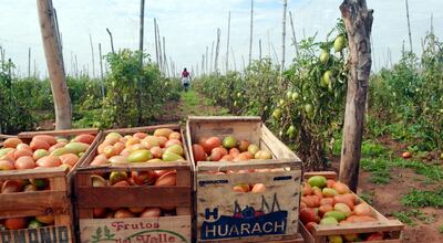 /pf/resources/images/abc-placeholder.png?d=2395