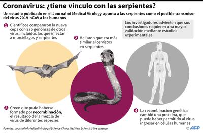 El origen de la cepa sería de murciélagos