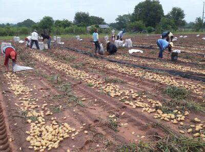 RURALES INTERNACIONALES