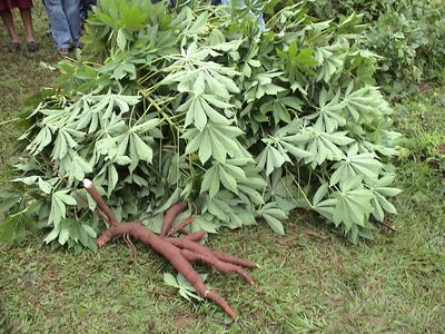 /pf/resources/images/abc-placeholder.png?d=2419