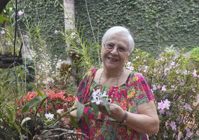 Imagen sin descripción