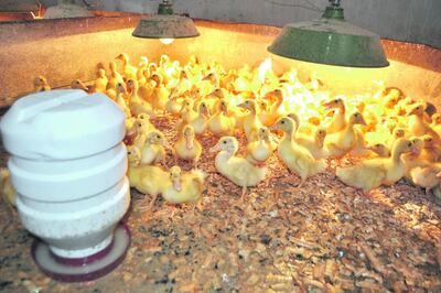 /pf/resources/images/abc-placeholder.png?d=2424