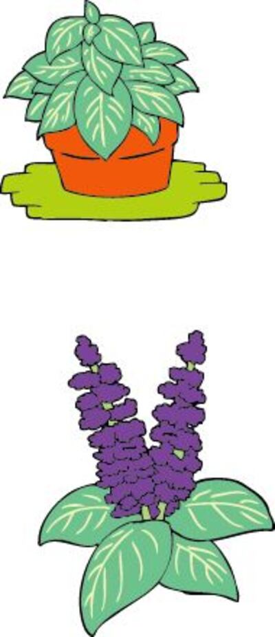 /pf/resources/images/abc-placeholder.png?d=2425