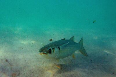 /pf/resources/images/abc-placeholder.png?d=2395