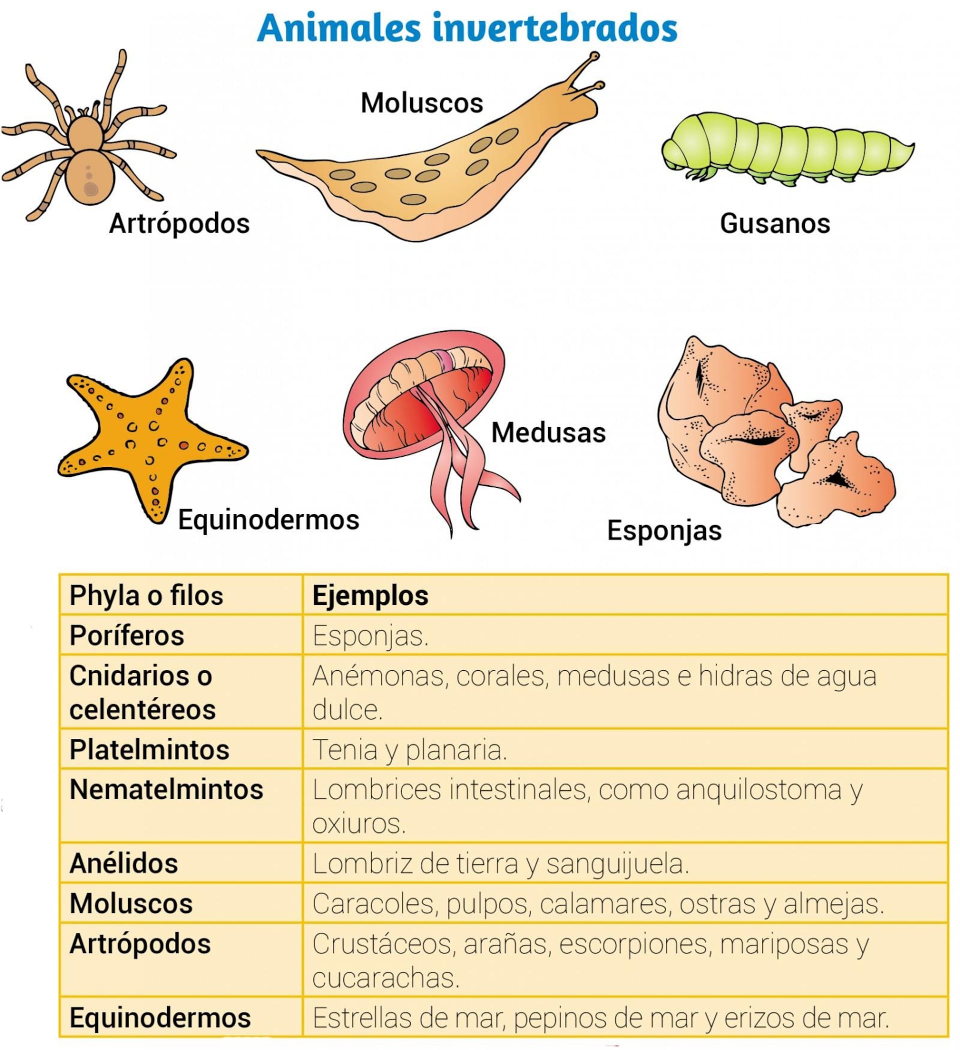 ejemplos de animales