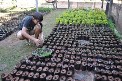 Imagen sin descripción