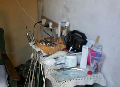 /pf/resources/images/abc-placeholder.png?d=2402