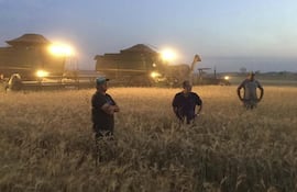 el-grano-que-cultivo-marino-raiter-se-encuentra-embargado-el-grupo-favero-con-maniobras-dolosas-busca-arrancar-a-la-familia-raiter-de-todos-sus-bie-224403000000-1510905.jpg