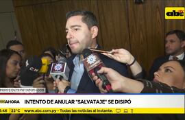 Intento de anular "Salvataje" se disipó
