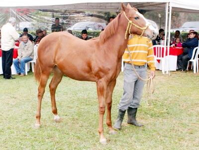 /pf/resources/images/abc-placeholder.png?d=2395