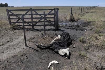 /pf/resources/images/abc-placeholder.png?d=2393