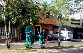 mas-de-20-funcionarios-de-la-municipalidad-arreglaron-ayer-el-paseo-central-de-la-av-aviadores-del-chaco--210551000000-1662403.jpg