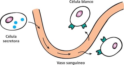 /pf/resources/images/abc-placeholder.png?d=2394