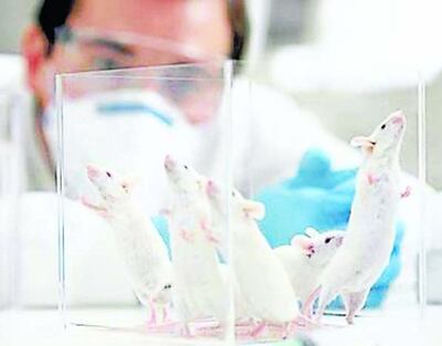 /pf/resources/images/abc-placeholder.png?d=2425