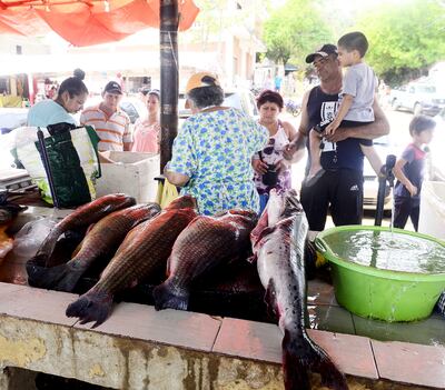 La pesca ya está prohibida, pero la venta de pescados que fueron inventariados sigue esta semana, informó el Mades.