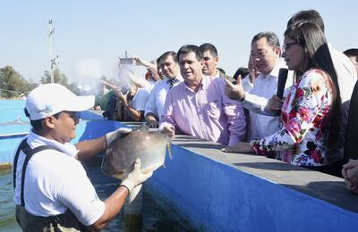 /pf/resources/images/abc-placeholder.png?d=2429