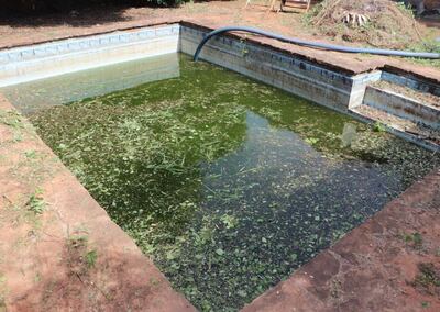 En estas condiciones la comitiva judicial encontró la piscina de la vivienda del barrio San Isidro, Lambaré, cuya dueña fue imputada.