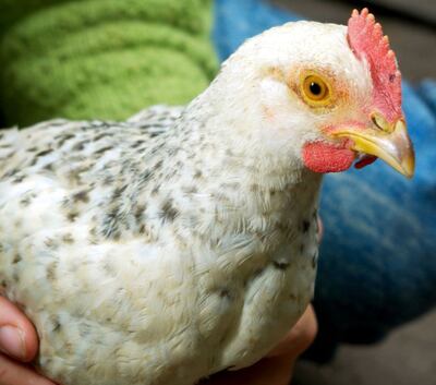 /pf/resources/images/abc-placeholder.png?d=2411