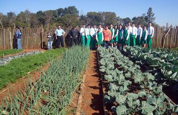 verduras-de-excelente-calidad-se-pueden-encontrar-en-la-huerta-escolar-desarrollada-por-los-alumnos-del-tercer-curso-del-colegio-nacional-john-f-ken-225958000000-1607495.jpg