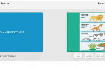 tarjetas-didacticas-en-linea-para-repasar-222319000000-1515792.jpg