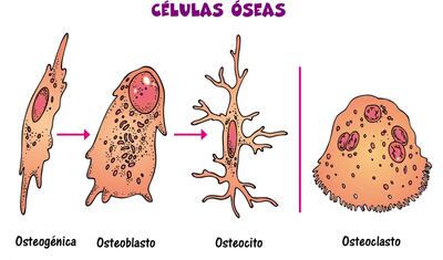 /pf/resources/images/abc-placeholder.png?d=2449