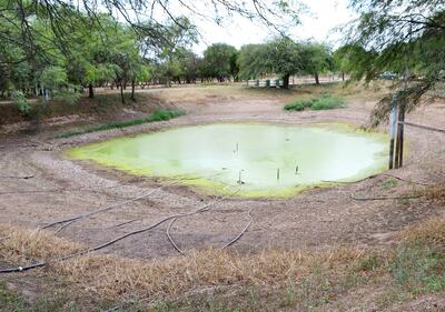 Un tajamar con poca agua por falta de lluvias importantes.