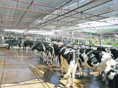 /pf/resources/images/abc-placeholder.png?d=2424