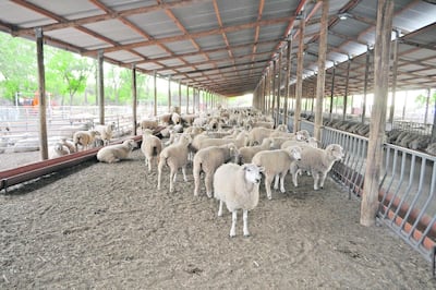 Imagen sin descripción