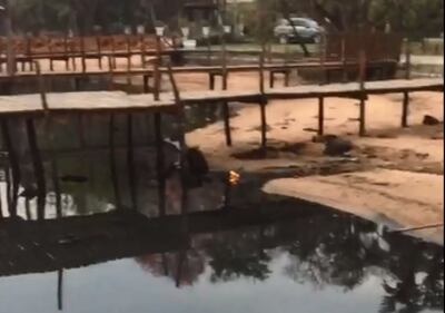 /pf/resources/images/abc-placeholder.png?d=2425