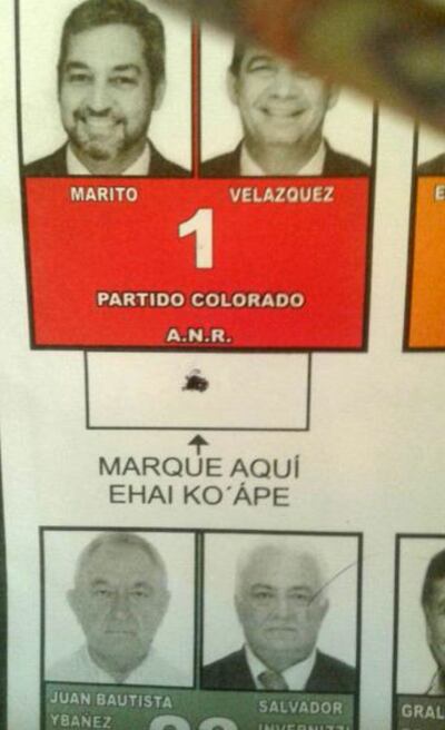 Imagen sin descripción