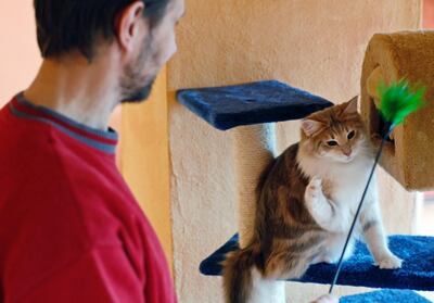 /pf/resources/images/abc-placeholder.png?d=2398