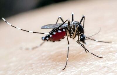 /pf/resources/images/abc-placeholder.png?d=2421