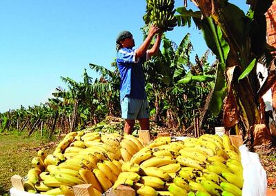 /pf/resources/images/abc-placeholder.png?d=2425