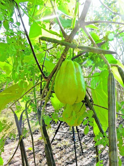 /pf/resources/images/abc-placeholder.png?d=2422